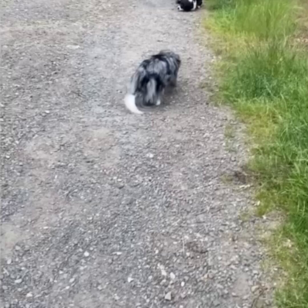 These two best friends first time seeing eachother in over a year.. 😊