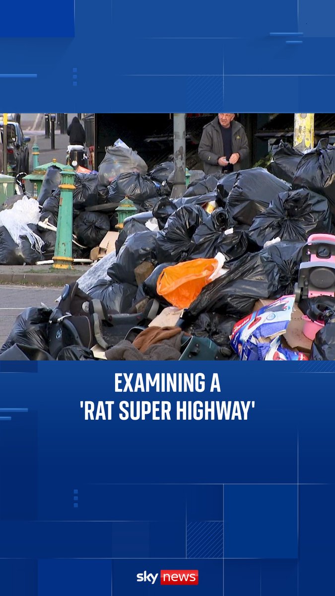 Sky's Lisa Dowd Sky News investigates the streets taken over by rubbish which have been attracting rats in Birmingham.