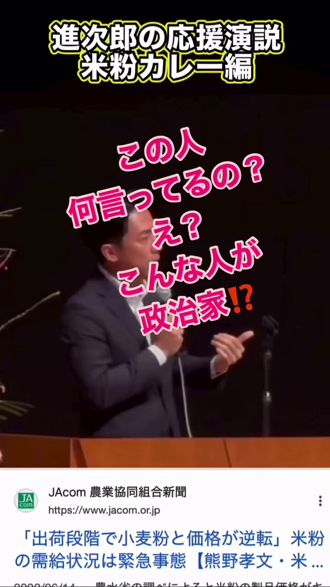 ちょっと何言ってるかわからなぃ