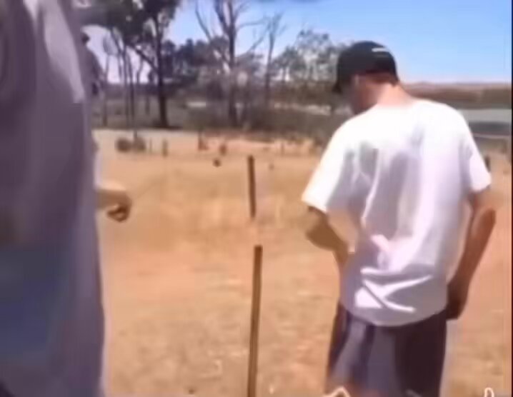 How they pass the time in Australia.