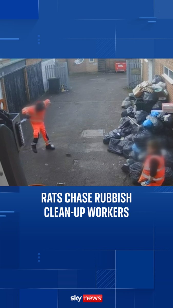 CCTV footage shows rats chasing clean-up workers as they try to collect rubbish in Birmingham 🐀