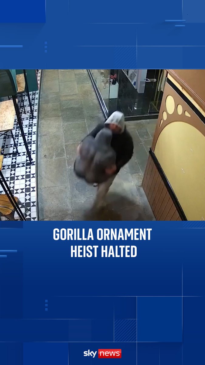 Police in Darlington arrested two men who were caught on CCTV stealing a gorilla ornament worth £399 from an indoor market at night 🦍