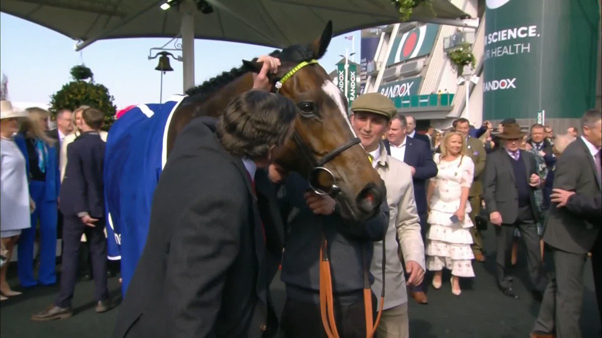 Just look at the love between Nicky Henderson and Jonbon 💚💛 #ITVRacing | Matt Chapman | Nicky Henderson
