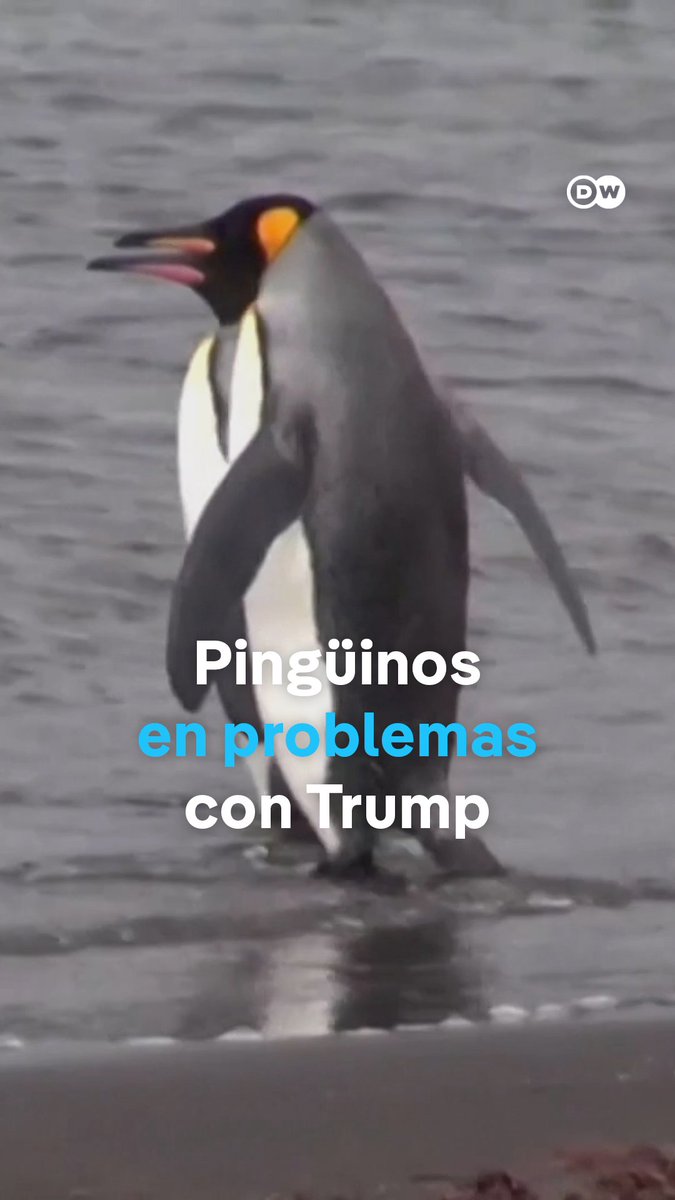 ¿Por qué ha impuesto #Trump aranceles a dos islas habitadas por focas y pingüinos? El presidente de EE. UU. aplicó #aranceles del 10 % a las islas de Heard y McDonald, un archipiélago autónomo de Australia inhabitado por humanos y sin actividad económica.