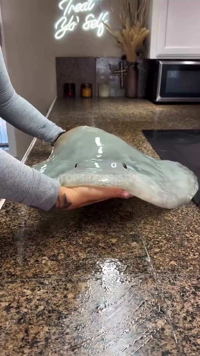 The top 5 most expensive marine animals to eat in the world 🌎🌊🐟🍲🦑🐙 © top5expensive