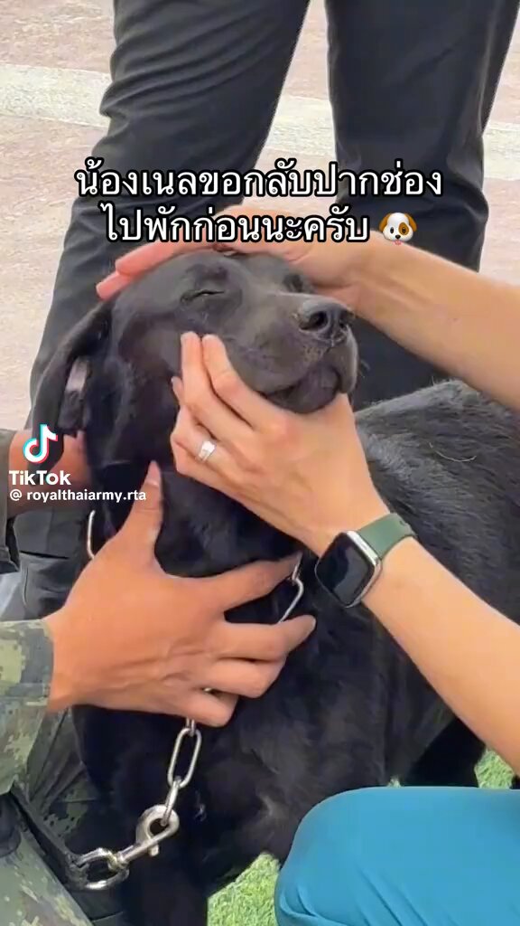งื้ออ น้องตั้งใจมาช่วย แต่น้องแพ้ฝุ่นปูน น้องเลยต้องกลับไปพักที่ปากช่อง อาบน้ำ ให้หมอตรวจอย่าละเอียด และต้องให้น้องพักผ่อน #ตึกสตงถล่ม #ตึกสตง #แผ่นดินไหว #earthquake #แผ่นดินไหวกรุงเทพ