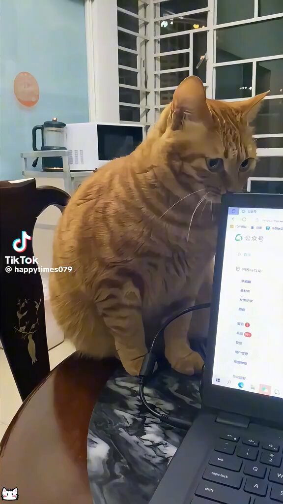 they are evolving! consider yourselves warned!😱🤣🤣🤣🤣🤣🤣🤣