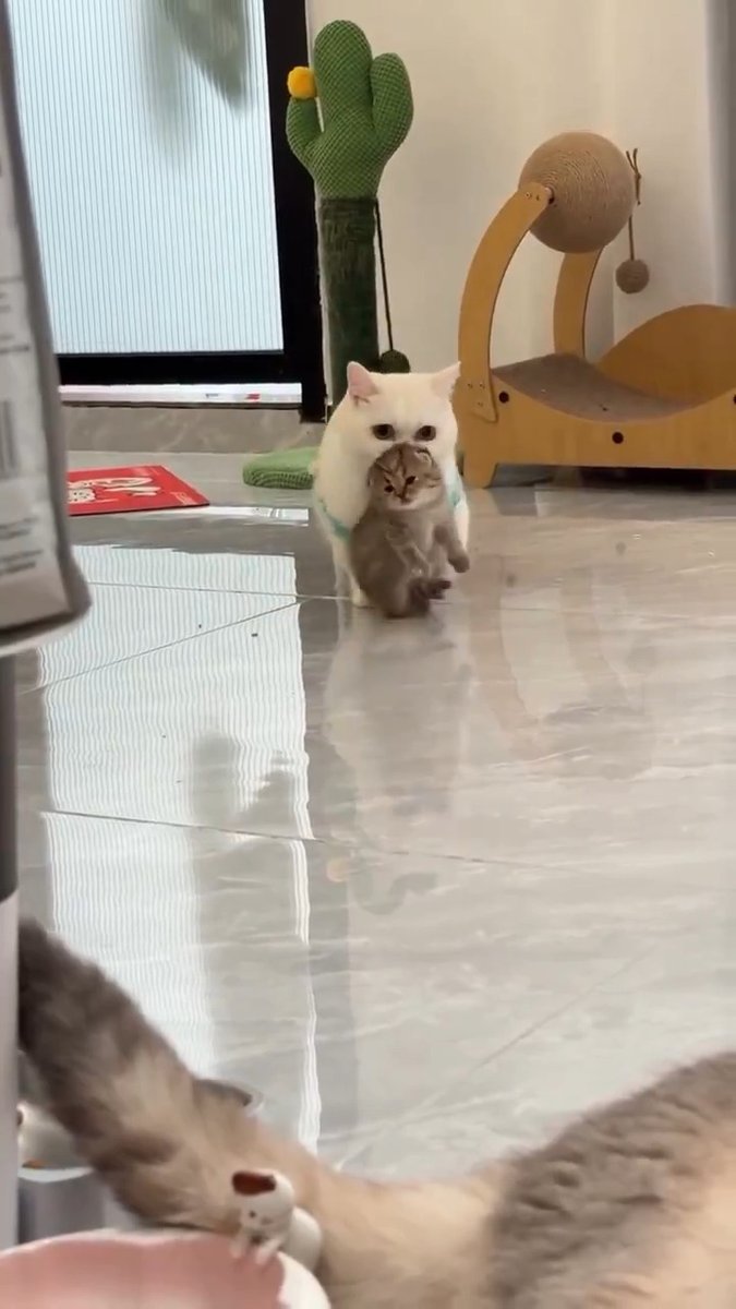 おかあさんといっしょ!☺️🌈