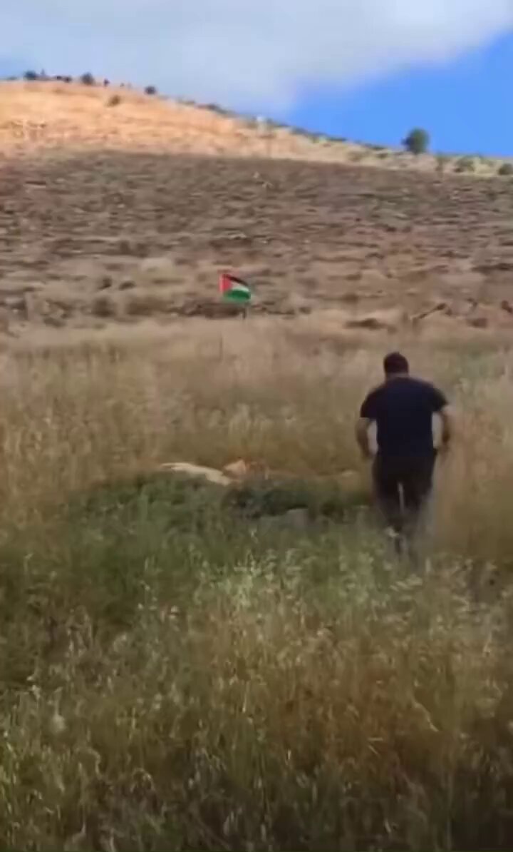 Horrifying moment IDF reservist is injured setting off booby-trap bomb while trying to kick down Palestinian flag in the West Bank 🗃️Facts in the Comments⬇️