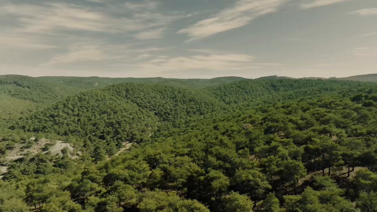 Coca Codo Sinclair transforma el poder del agua en energía para millones de ecuatorianos. #Energíaconinnovaciónytecnologia #Sinohydro #EnergíaLimpia #Sostenibilidad