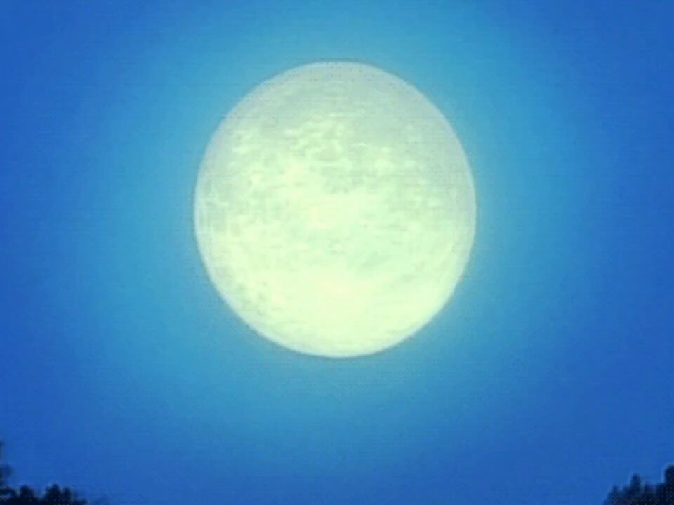 #BLEACH As a Bleach fan, it’s practically your sacred duty to watch Yu Yu Hakusho if you haven’t already—shame on you !!