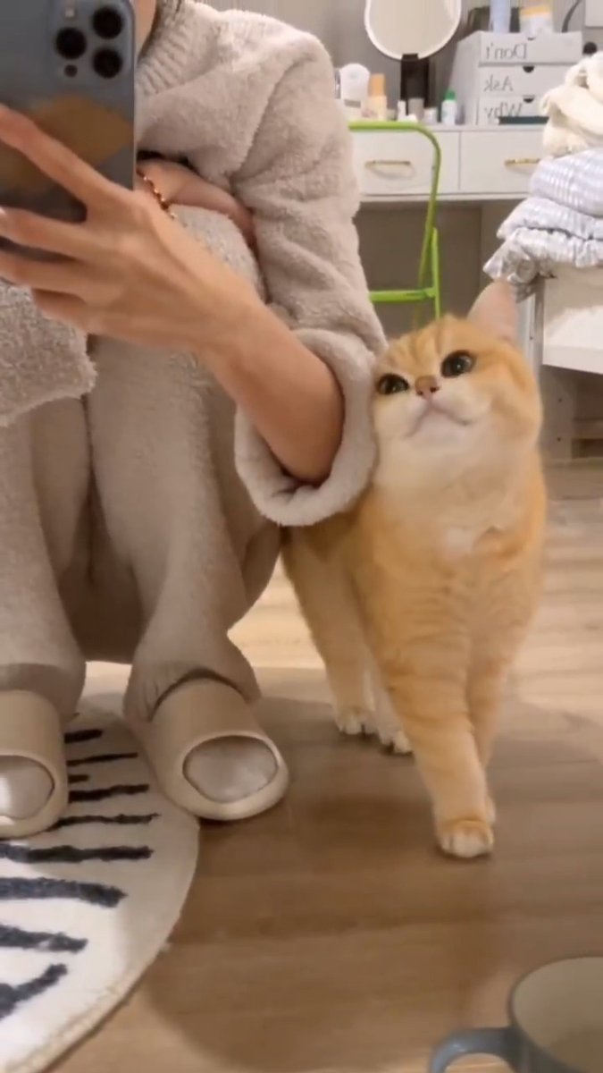 100% charming 😺💘