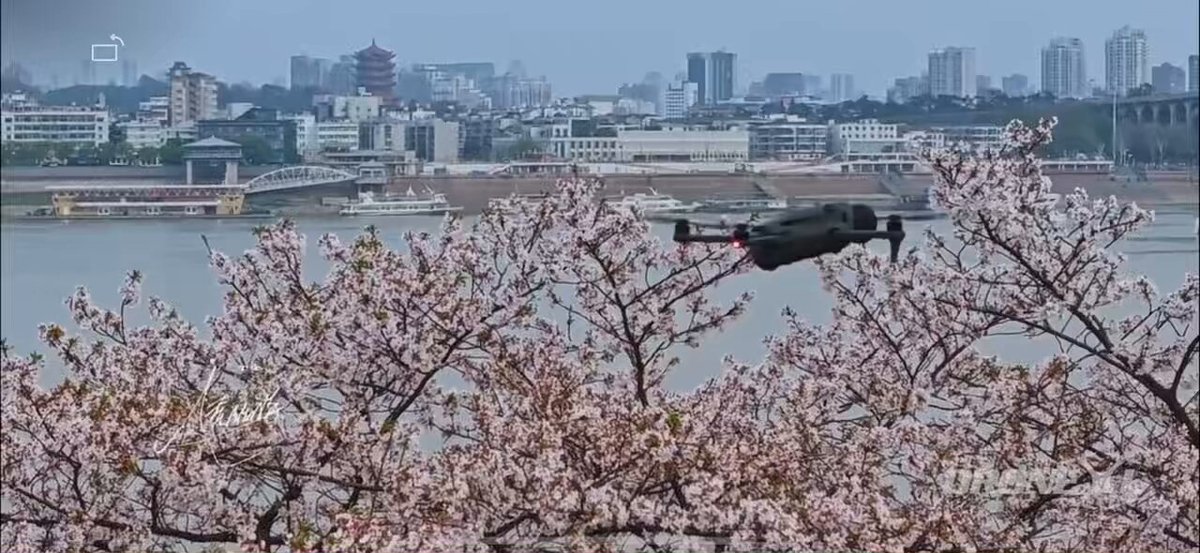 Multiple sources are continuing to say the Mavic 4 is delayed. Others tell me the launch on the 24th isn't cancelled at all. Delay could still be a echo of rumor, not a leak. Both are different things. I'll ask the birds and let you know. Cheers!