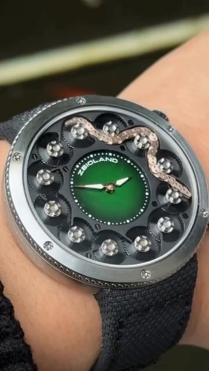 Absolutely Incredible Snake Watch