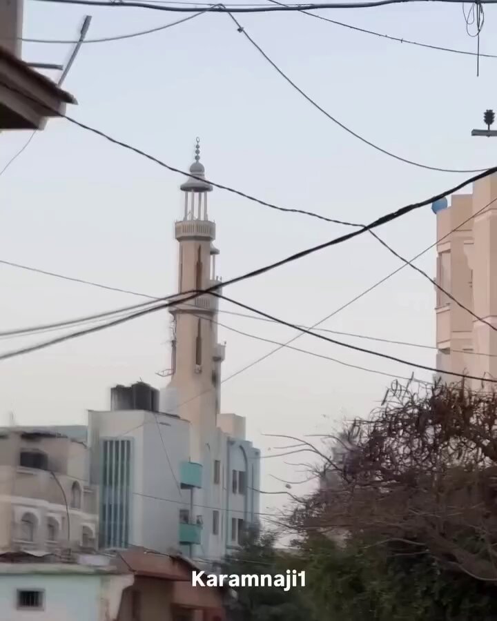 Itu bukan burung… Itu tubuh anak-anak, wanita-wanita tak berdosa, yang terlempar tinggi ke langit Gaza karena bom penjajah. Mereka tak sempat lari, tak sempat berpamitan. Langit menjadi pelukan terakhir… tanah menjadi tempat istirahat tanpa nisan. 👇👇👇