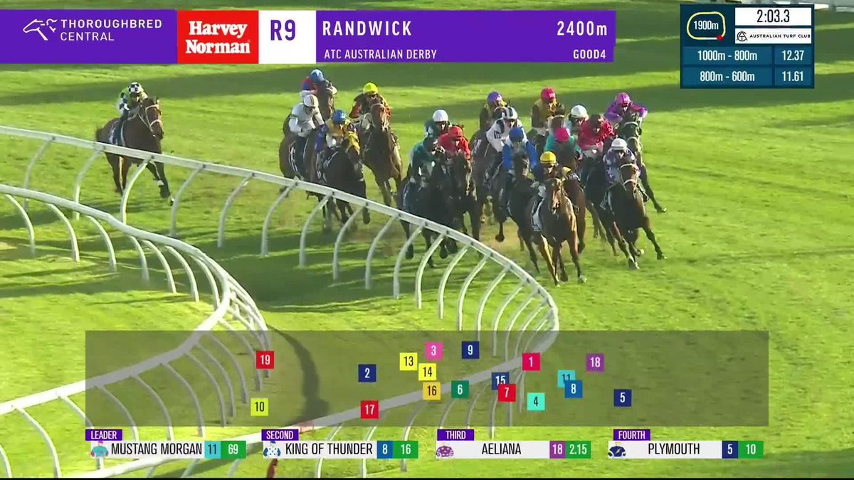The Derby goes to the filly! 🤩 Aeliana destroys them in the G1 Australian Derby, and just how good is she?! Chris Waller Racing | Damian Lane | Star Thoroughbreds | Australian Turf Club | World Pool
