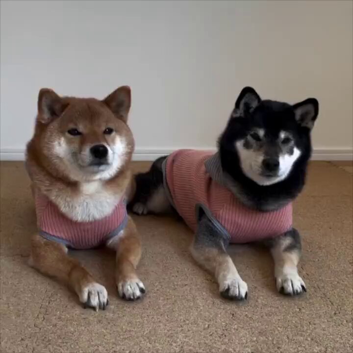 Best friends.. 😊