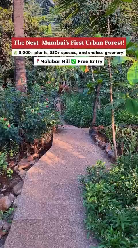 RPG has transformed a corner of Malabar Hill into a lush urban oasis — Mumbai’s first urban forest — offering the city 8,000+ plants, 350+ species, and a breath of fresh air. #TheNest