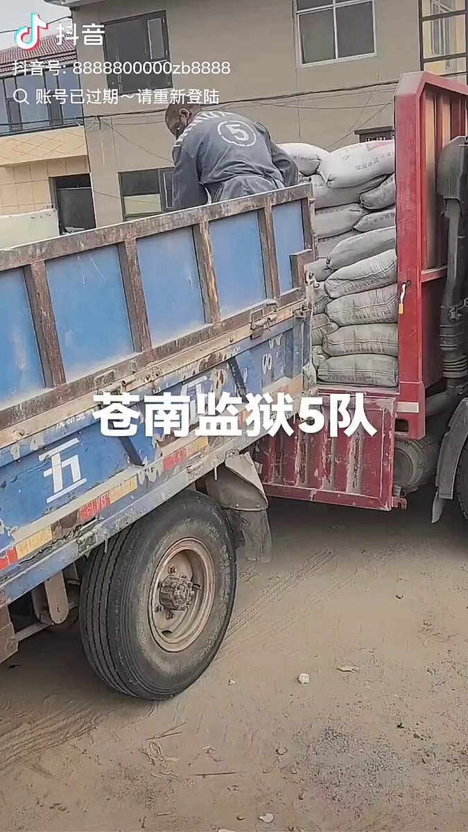 Speedy Updates He should visit some of Chinese re-education labor camps, where prisoners are forced to do hard labor without pay. That's one reason why you can buy ＄1 charging cables on Temu. This Chinese prisoner is required to load 220 tons cement in just one day.