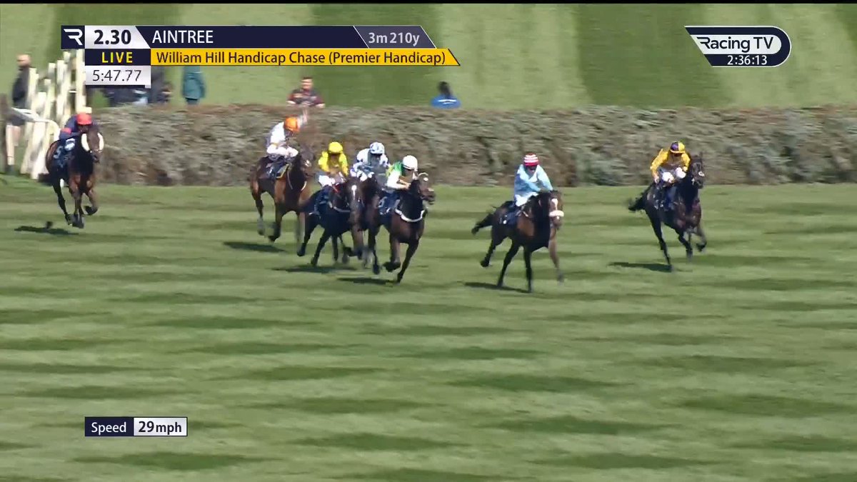 Stops the bleeding. Cruz Control wins well @ 8/1.