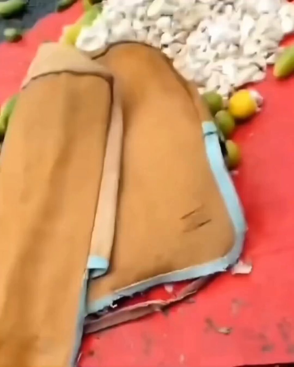 Ini vidionya