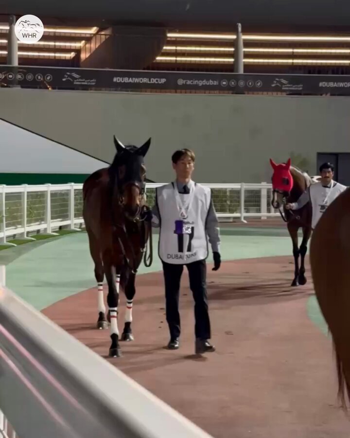 LIBERTY ISLAND is in the house... 🏠🗽 #DWC25 | #リバティアイランド