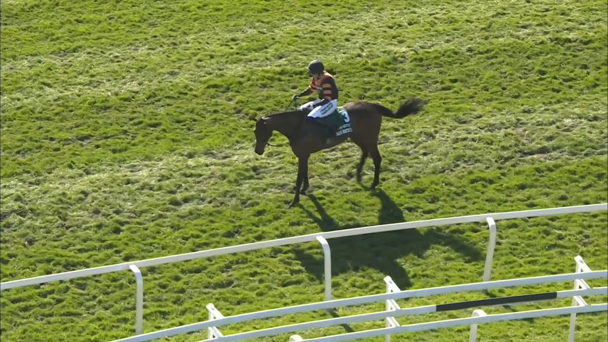 🗣️ "[Willie Mullins] is like everyone else, he's a parent, he's looking at his son." ❤️ #ITVRacing | #GrandNational