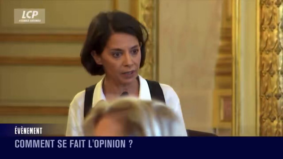 La fabrique des cibles et la mise en danger par les députés de la France insoumise et quelques autres... ( Assemblée nationale #JournéeduLivrePolitique )