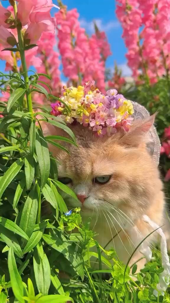 Being happy is not having a perfect life, being happy is recognizing that life is worth living, despite all the difficulties.🌸🍃 Poetic Action.-
