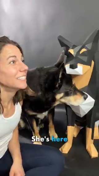 My girlfriend finally got to meet PAPER BRAXTON🐶