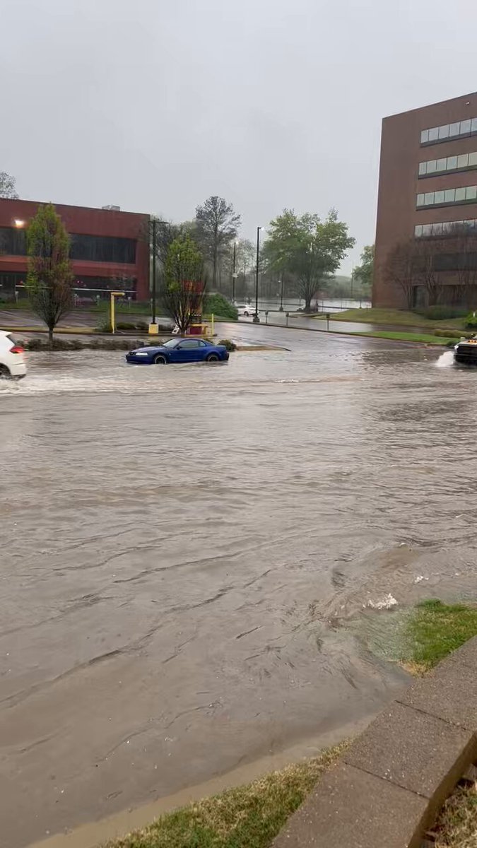 Cars stalling out on Poplar in East Memphis.