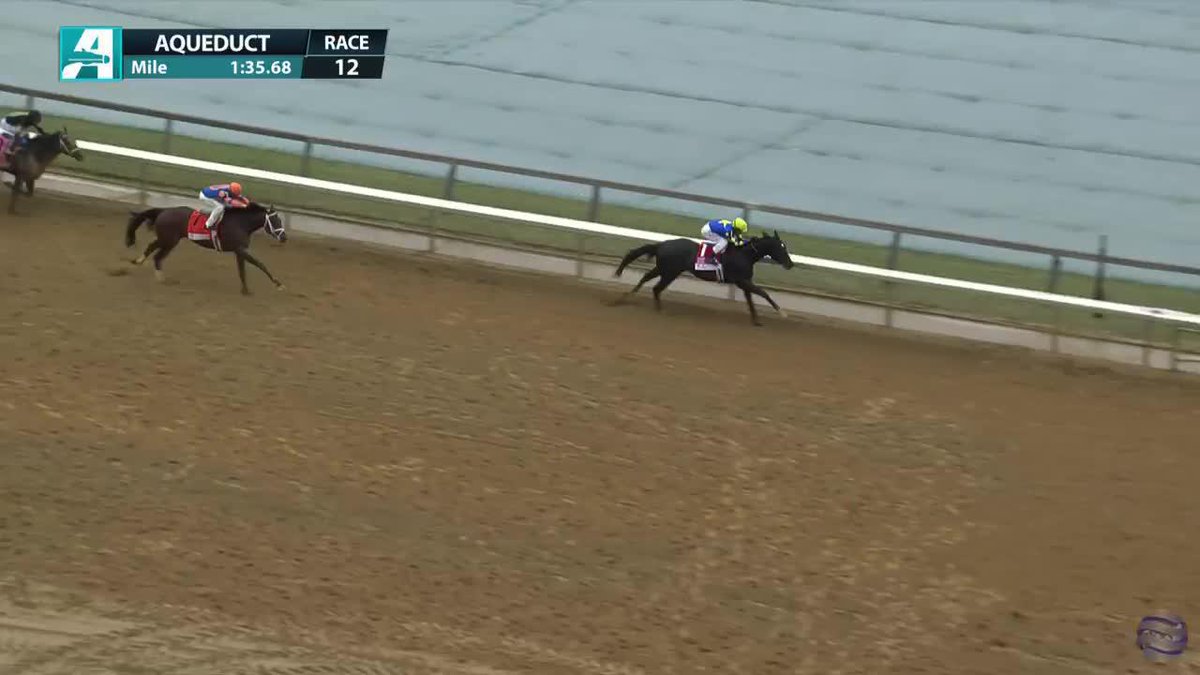 Rodriguez ships to New York and goes gate-to-wire in the Wood Memorial, picking up 100 Kentucky Derby points! 🌹 Bob Baffert trains and Mike Smith was in the irons.