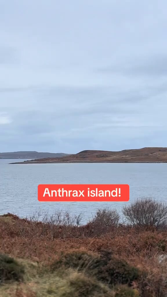 🗝pulau gruinard, skotlandia pulau berbahaya bekas percobaan / eksperimen gagal pemerintah Inggris dalam pembuatan senjata biologis anthrax menjadi virus yg mematikan