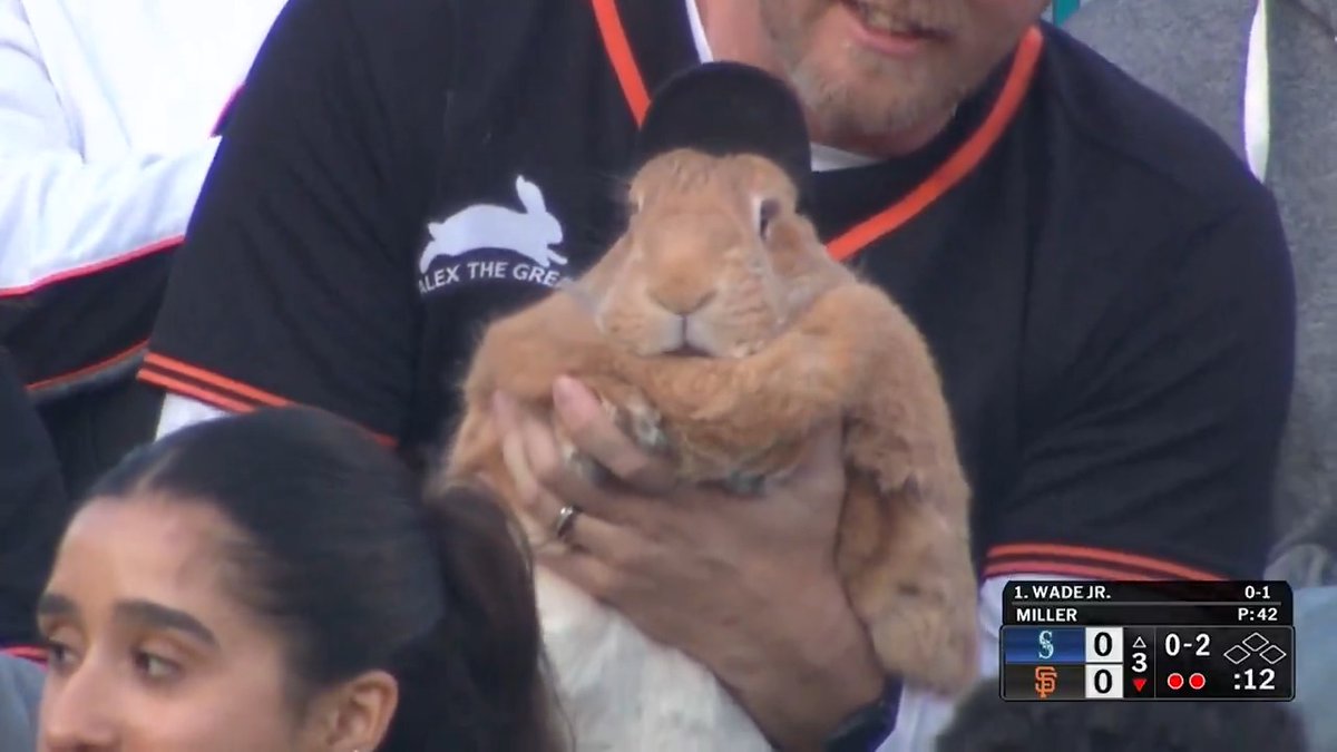 Alex the Great is very friend-shaped 🐰