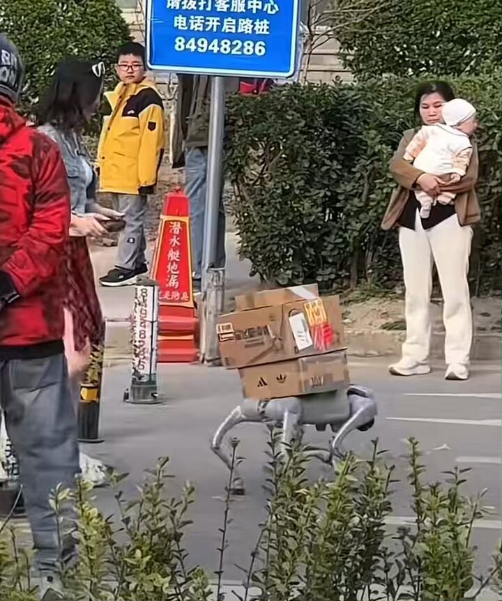Robodogs are taking over Shanghai, and I’m this close to getting one, just don’t think my cats signed off on it yet…