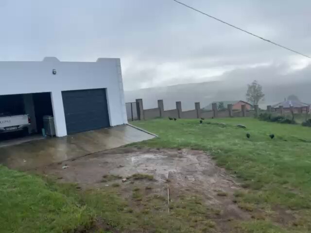 Good morning my neighbours. Had one of the best sleeps last night 😊🥰