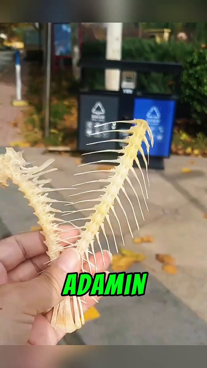 Balık kılçığından bileklik yapımı 🎏🐟