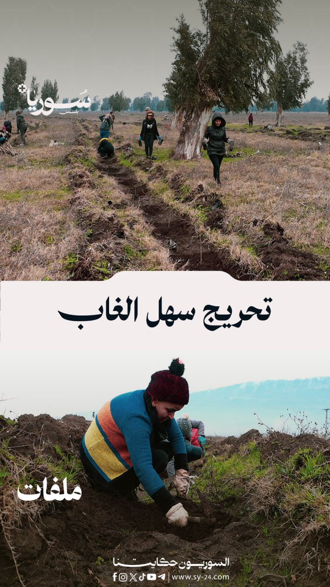 سهل الغاب يتنفس من جديد، تحريج عشرات الهكترات لحماية البيئة والأنواع ريف حماة الغربي - محمد الشيخ