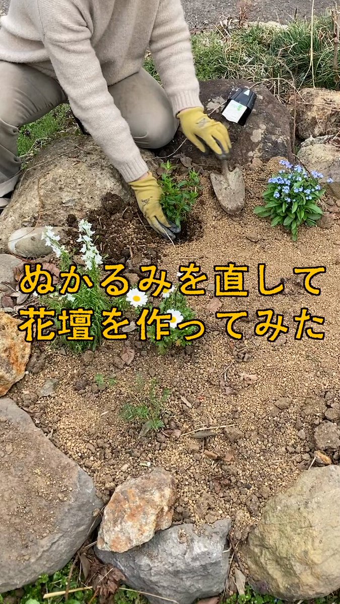 ぬかるみを改善して、ハーブの花壇を作ってみた。 毎日、ゆる〜くワクワクしながら「暮らしを創る」ことに意識を向けたら、人生がめっちゃ楽しくなった。