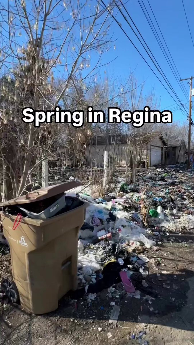 Regina, Saskatchewan looks like Mumbai Now. Import the Third World become the Third World.
