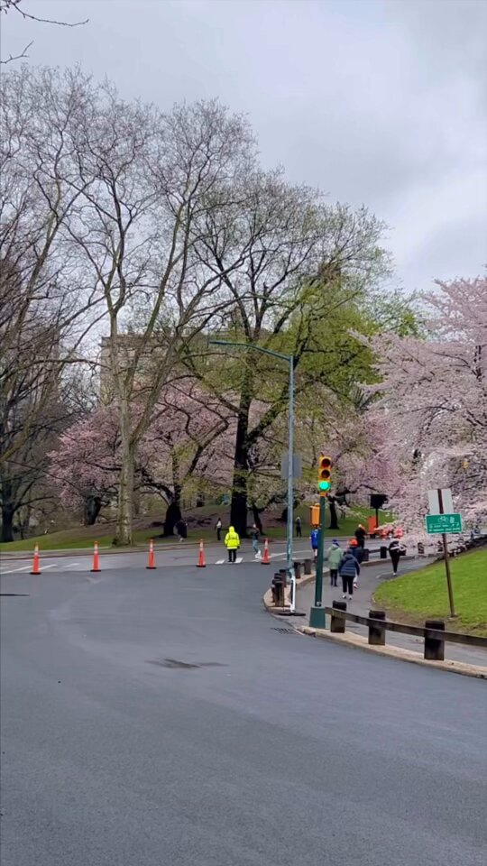 Spring Sunday morning in Central Park. New York City