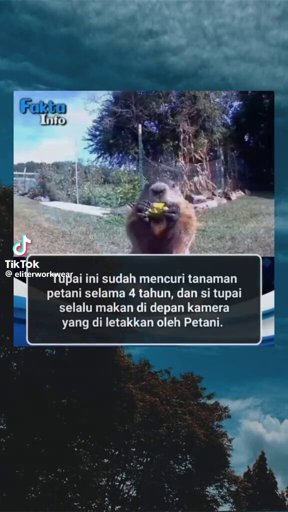 "aku makan yg ini yaaa 😁"