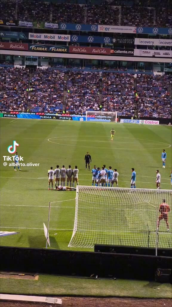 Es que donde la puso Montaño! 🐶⚽️