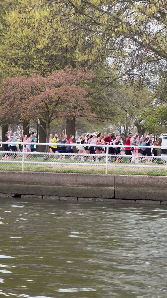 Why did the runners of Washington DC’s cherry blossom 10M not like my Tom Homan and Department of Government Efficiency Elon Musk flag???! Volume up! 🔊