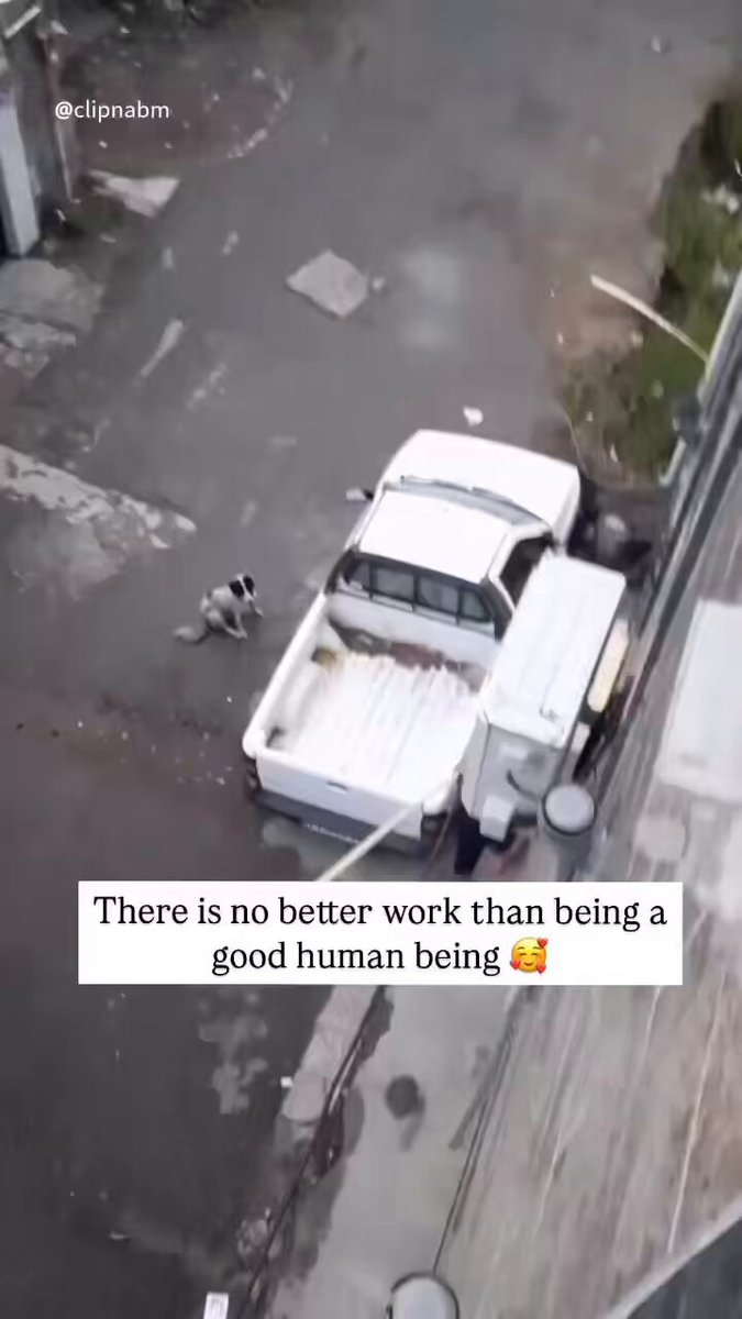 This conscientious man saved the dog's puppies