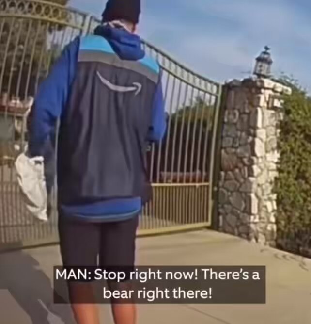 home owner catches the moment their Amazon Driver scared away a fully grown bear to make sure their package was delivered 😭😭