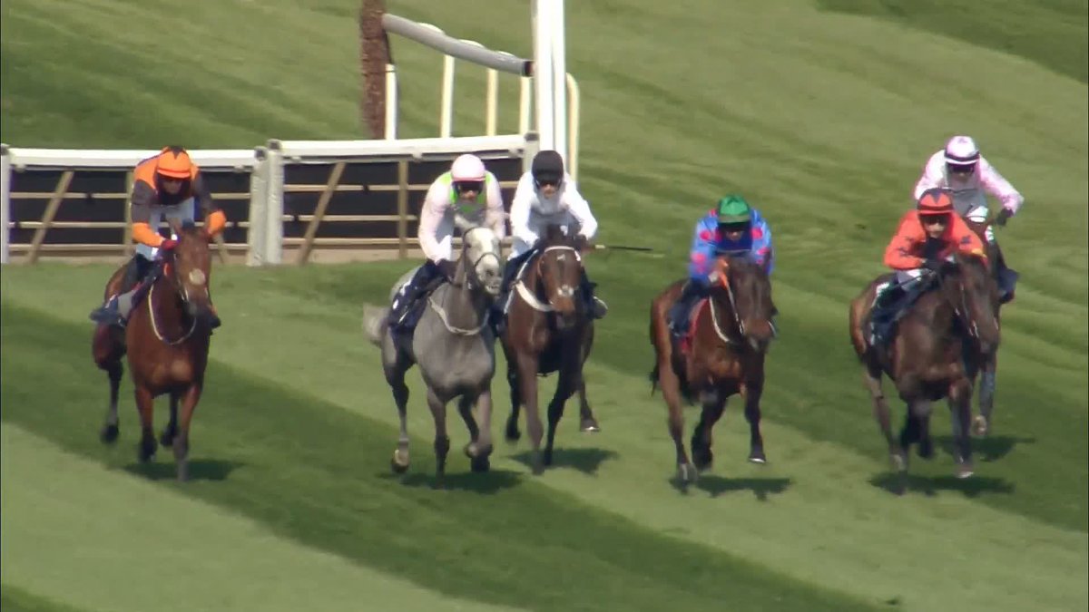 I don't care what anyone says. Constitution Hill was absolutely cruising when he fell, he had Lossiemouth covered, and was going to win in a canter. Please DON'T bother disagreeing with me, I have a pair of eyes and they work well.