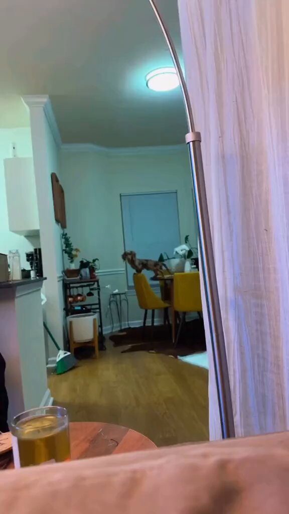 I don’t watch White Lotus on Sundays. I watch “black people talking to their pets” on TikTok