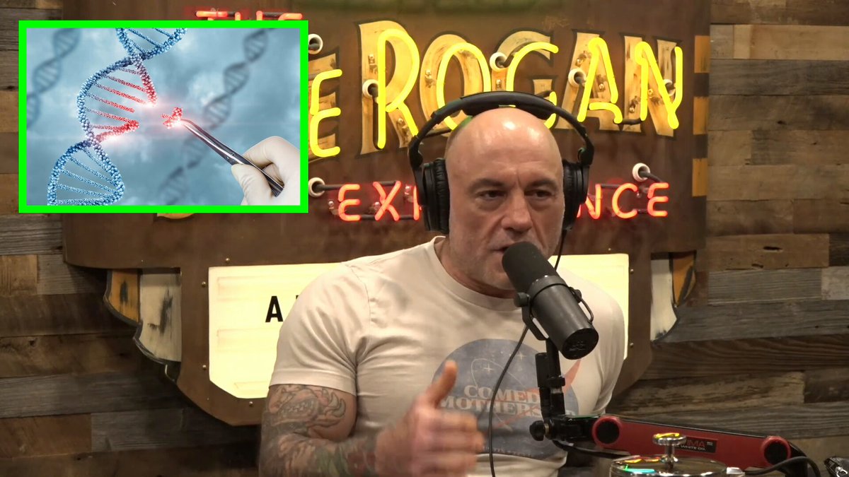 NEW: Guest blows Joe Rogan’s mind when he reveals that China has ALREADY genetically modified children. Biotech founder Ben Lamm explained how Chinese scientists cloned embryos and then edited them to make babies immune to HIV. But it gets worse. Lamm said there’s growing debate over whether those same babies were also genetically enhanced for increased INTELLIGENCE. The science is still unclear, but he warned the intent is very real. He pointed to BGI (Beijing Genomics Institute), a Chinese genetics company that he claims used the COVID-19 pandemic as an opportunity to collect global DNA. According to Lamm, BGI offered free COVID testing to countries around the world—not just as a humanitarian gesture, but as a way to gather genetic data on entire populations. He claimed BGI has openly stated its goal is to sequence as much of the global population as possible in search of genes linked to intelligence—and act on what they find. “They are openly saying we are sequencing as much as we can of the world population looking for genes for intelligence.” “How old are these [genetically modified] kids now?” Rogan asked. “Are they already winning chess tournaments?”