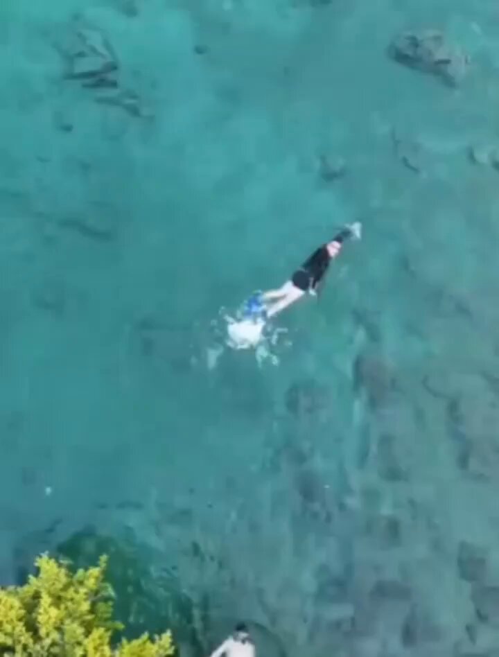 Заавал про байх албагүйздээ амьдрахад...😂🤭